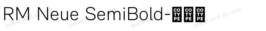 RM Neue SemiBold字体转换